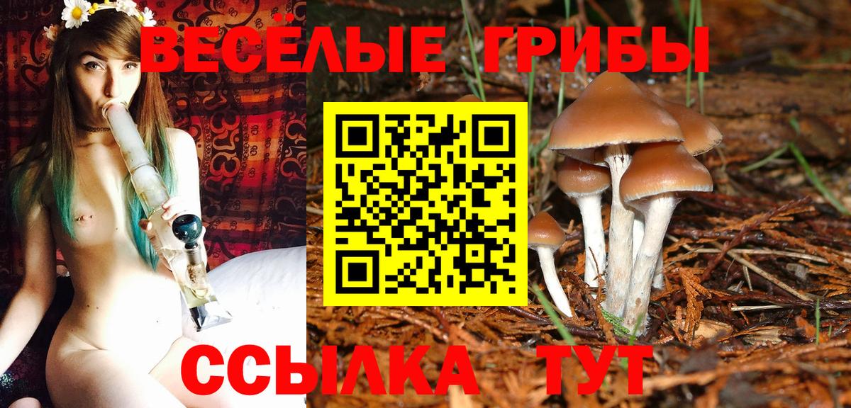 Псилоцибиновые грибы GOLDEN TEACHER  Вход с VPN  Новый Уренгой 